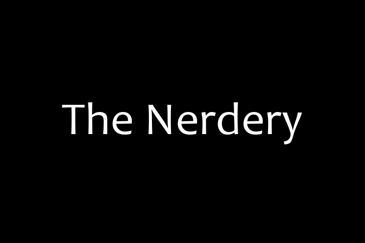 Software Development Company The Nerdery