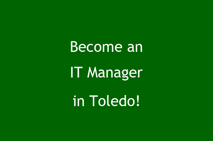 Become an IT Manager in Toledo