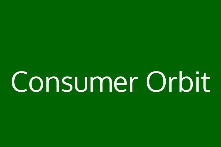 Technology Solutions Firm Consumer Orbit