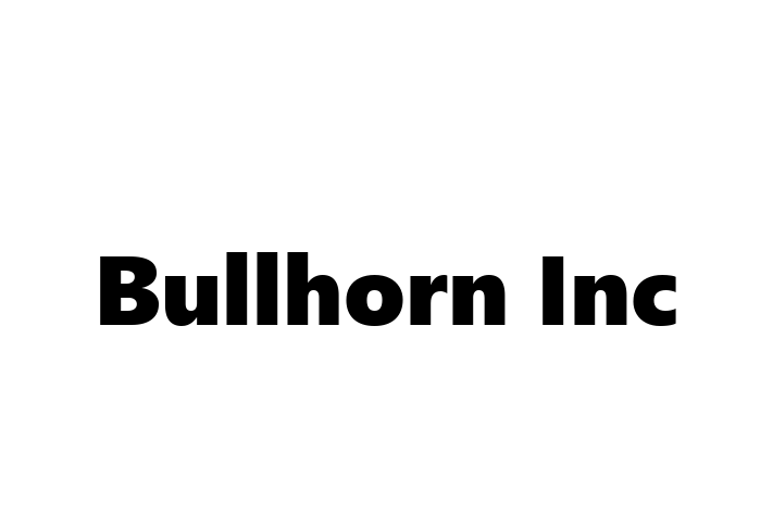 Technology Company Bullhorn Inc