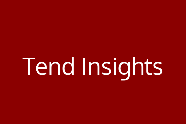 IT Company Tend Insights