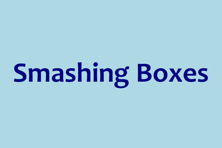 Software Solutions Provider Smashing Boxes