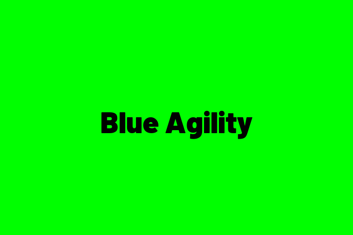 Tech Firm Blue Agility