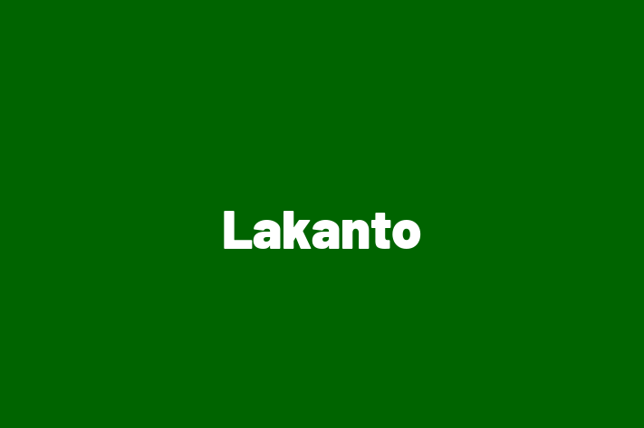 Human Capital Management Lakanto