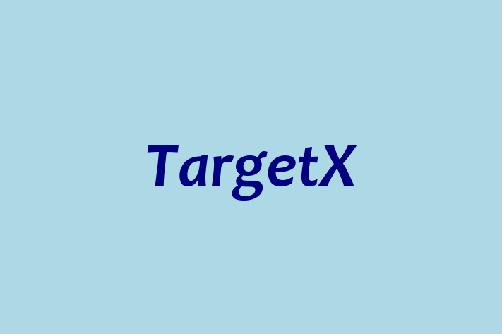 IT Company TargetX