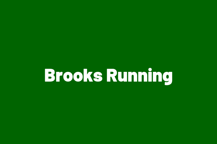 Employee Resource Management Brooks Running