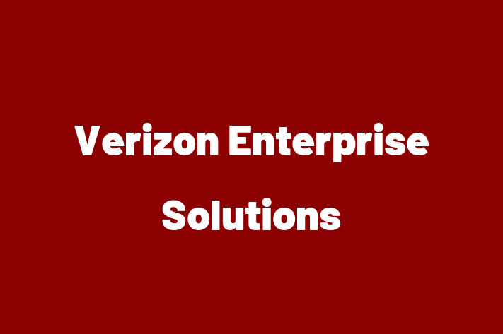 Software Development Firm Verizon Enterprise Solutions