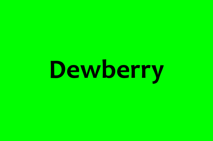 Technology Company Dewberry