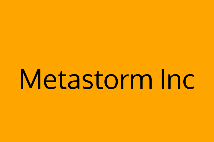 Software Services Company Metastorm Inc