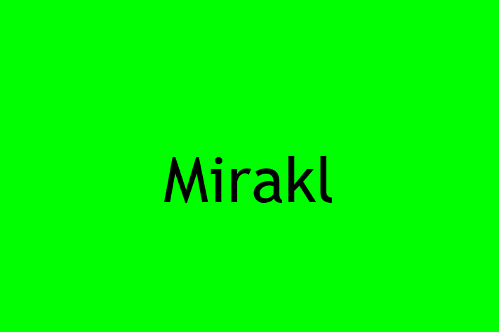 Software Services Company Mirakl