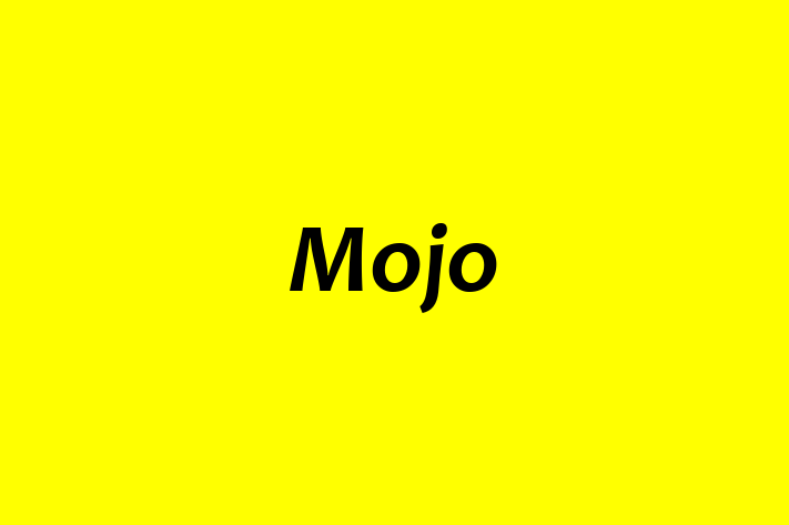 Talent Management Mojo