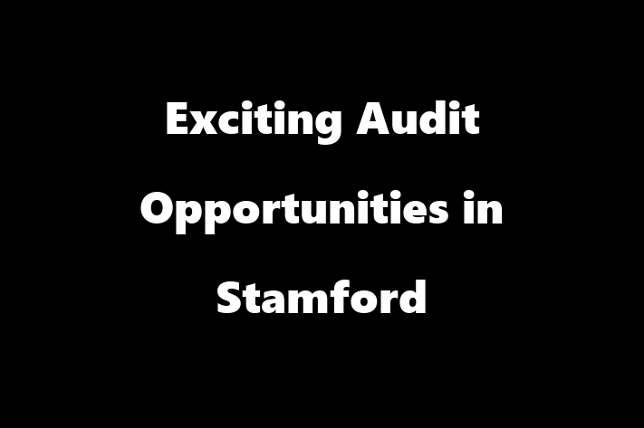 Exciting Audit Opportunities in Stamford