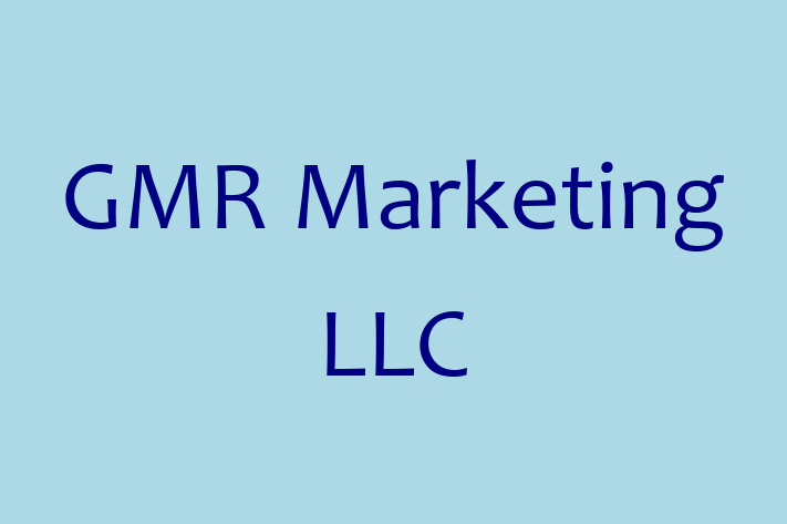 Software Solutions Provider GMR Marketing LLC