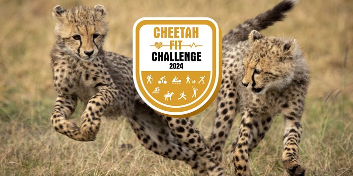 IT Company Cheetah Conservation Fund