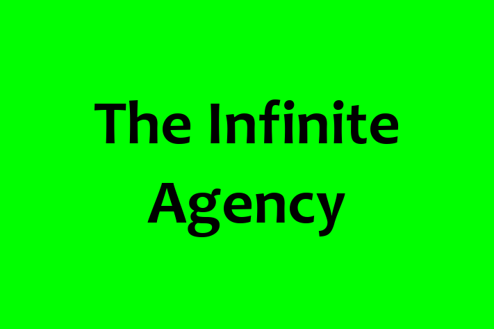 Software Engineering Company The Infinite Agency