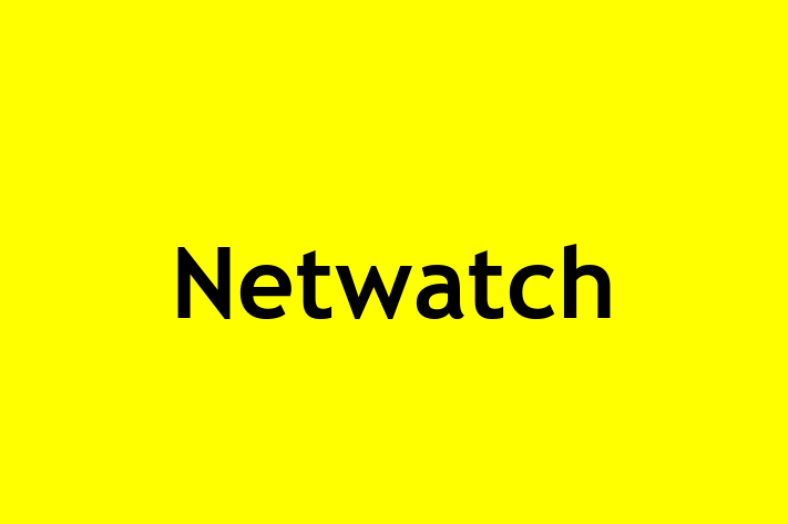 Software Engineering Company Netwatch