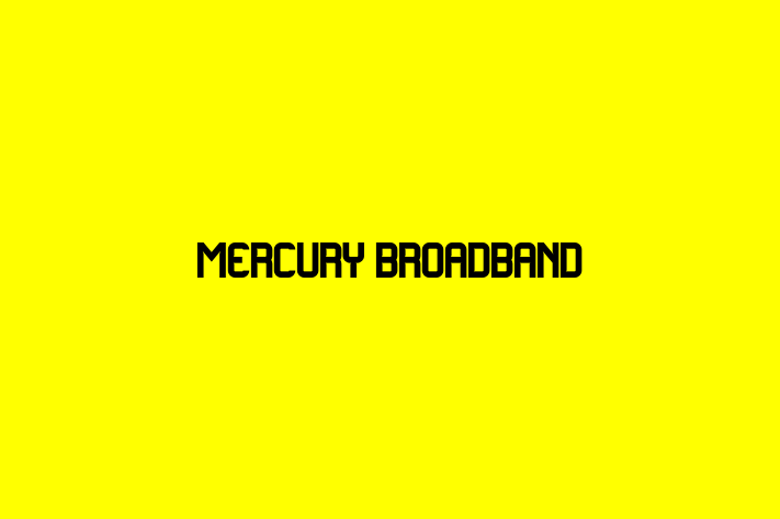 Human Capital Management Mercury Broadband