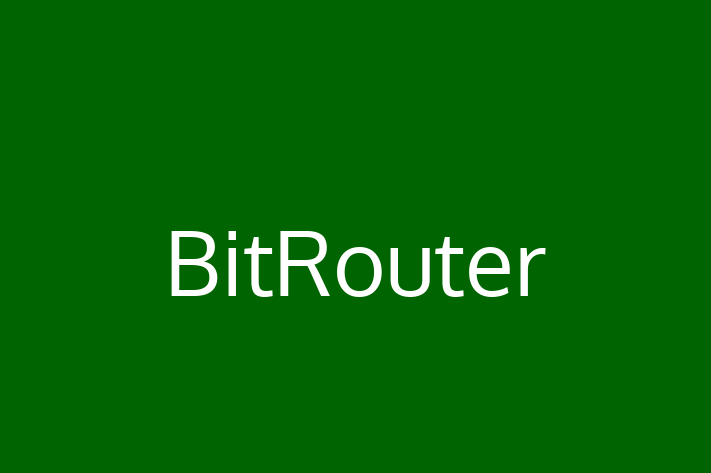 Software Development Company BitRouter