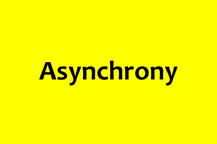 Software Engineering Company Asynchrony