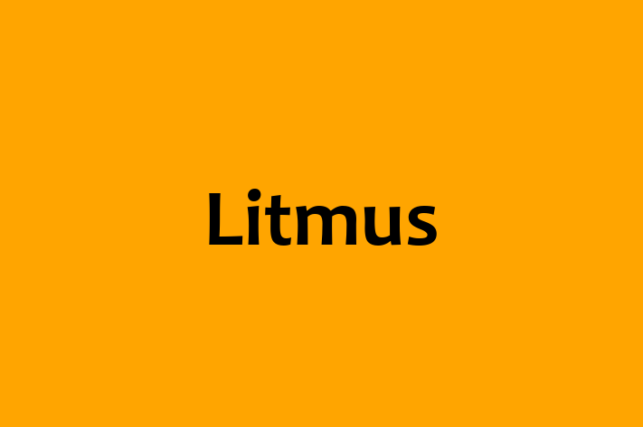 Software Solutions Provider Litmus