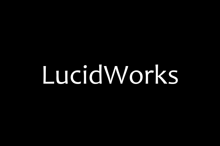 Technology Company LucidWorks