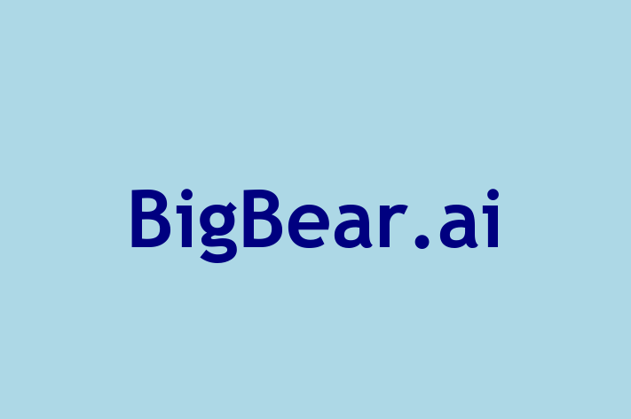 Talent Management BigBear.ai