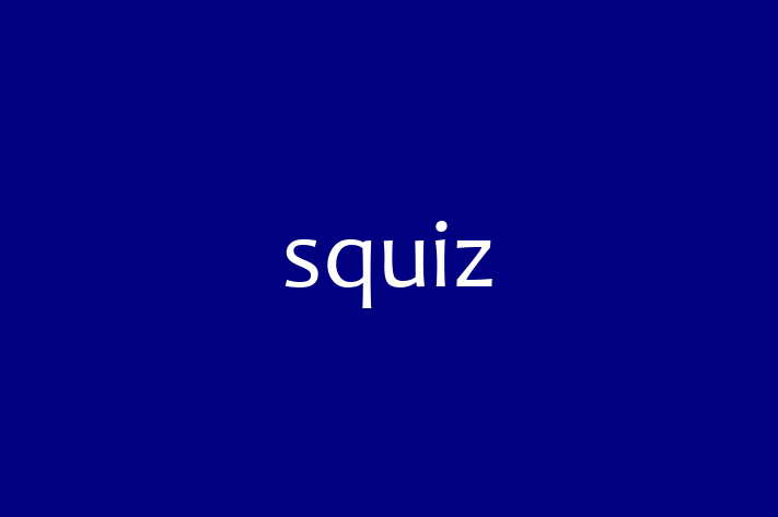 Digital Solutions Provider squiz