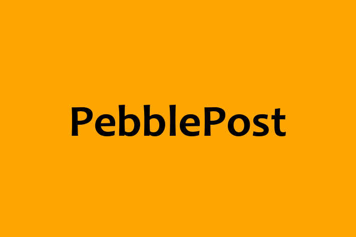 Application Development Company PebblePost