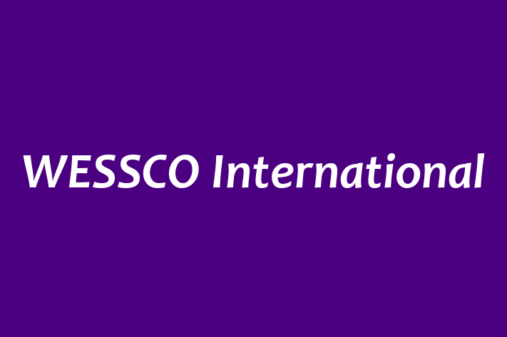 Software Engineering Company WESSCO International