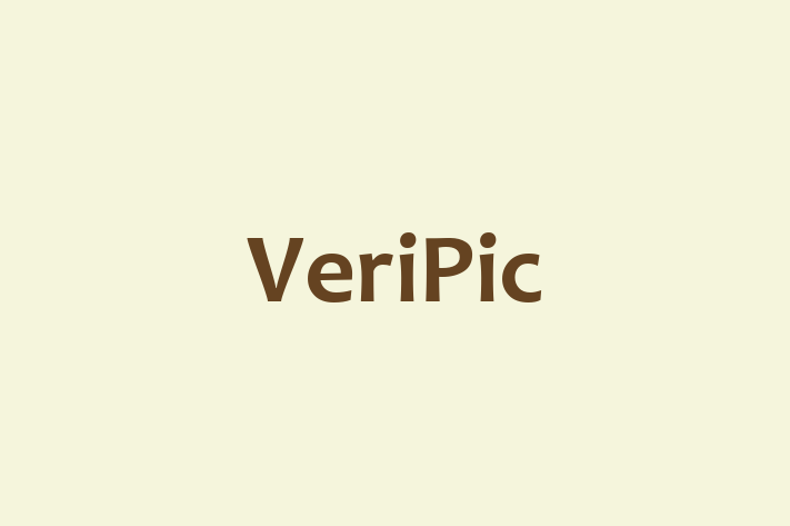 Technology Company VeriPic