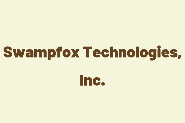 Technology Solutions Firm Swampfox Technologies Inc.