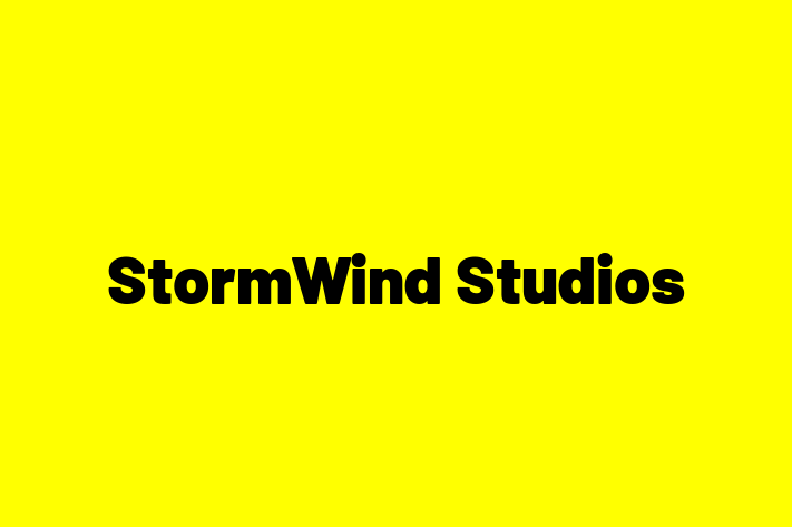 Tech Solutions Company StormWind Studios