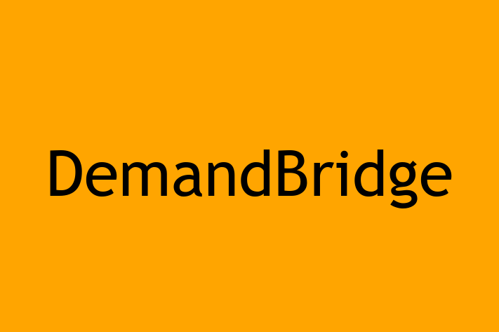 Software Solutions Provider DemandBridge