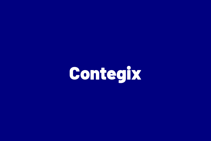 Software Services Company Contegix