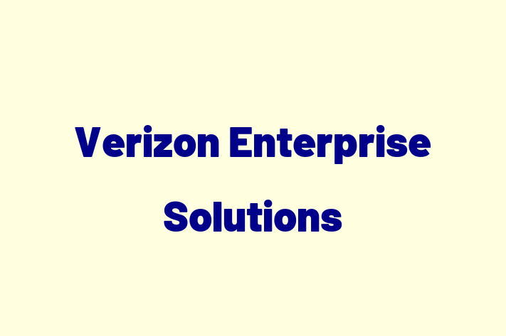 Tech Solutions Company Verizon Enterprise Solutions