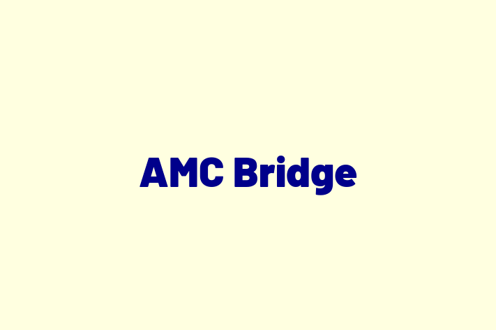 Software Development Company AMC Bridge