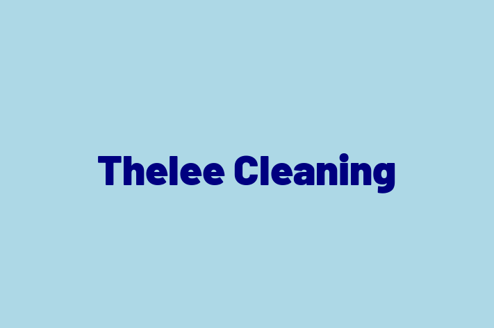 Home Cleaning Thelee Cleaning