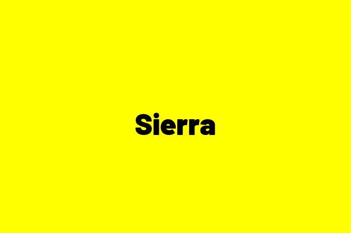 Talent Management Sierra