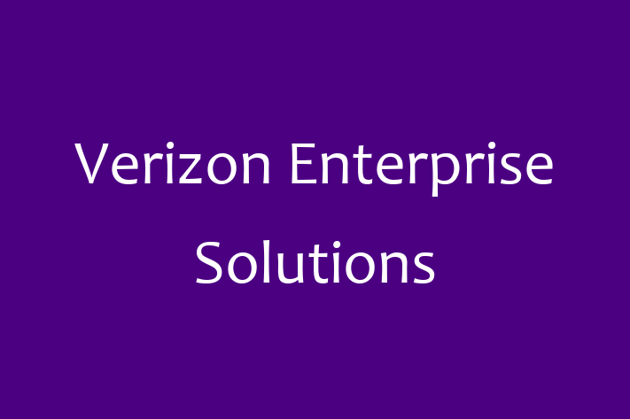 Software Firm Verizon Enterprise Solutions