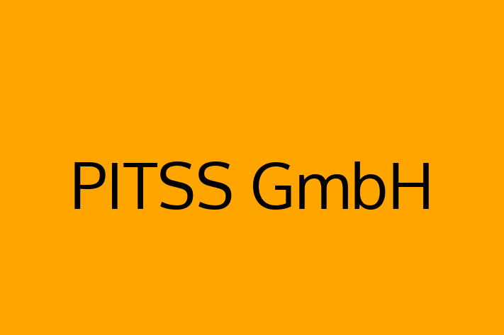 Software Services Company PITSS GmbH