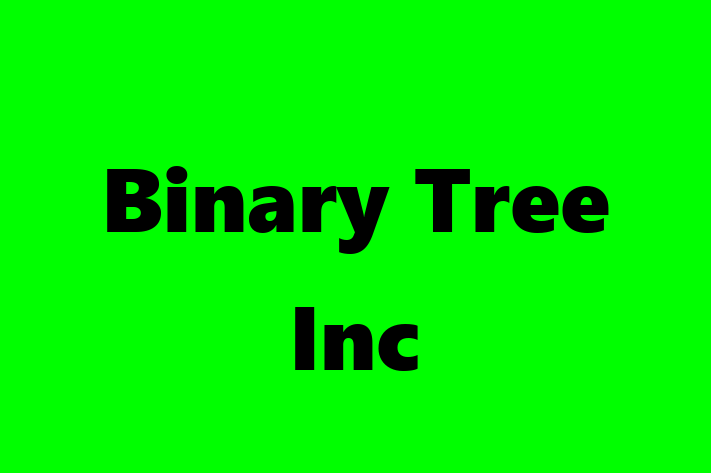 Software Engineering Company Binary Tree Inc