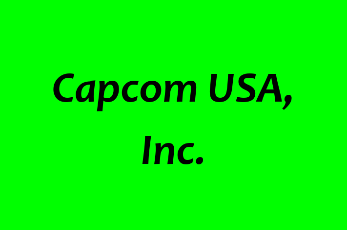 Technology Solutions Firm Capcom USA Inc.