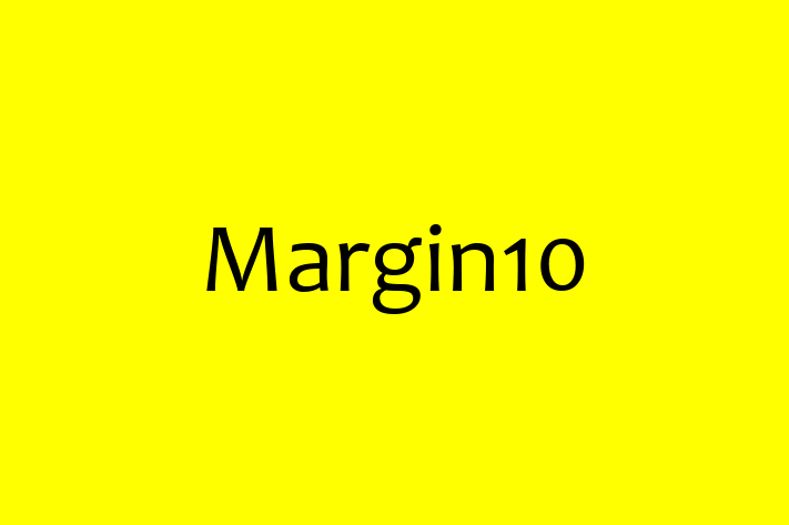 Software Engineering Company Margin10