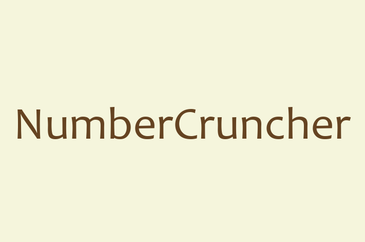 Software Consultancy NumberCruncher