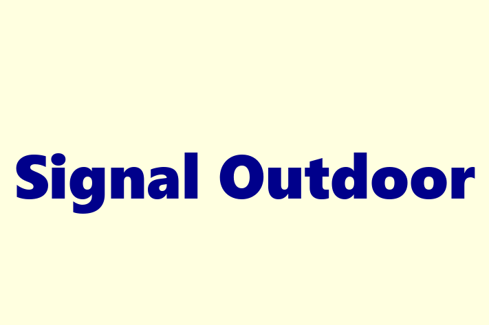 Technology Solutions Firm Signal Outdoor