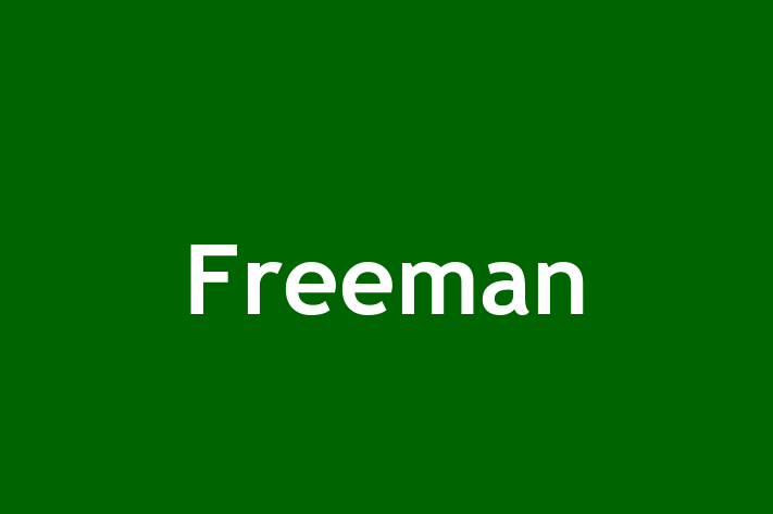 Tech Firm Freeman