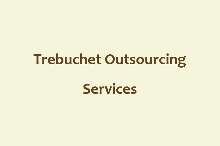 Technology Solutions Firm Trebuchet Outsourcing Services