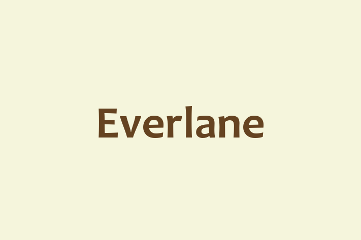 Personnel Management Everlane