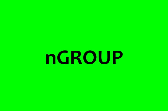 IT Company nGROUP