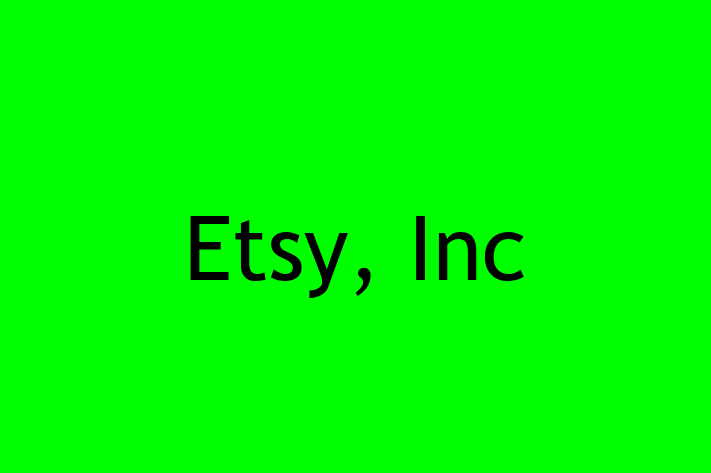 Technology Solutions Firm Etsy Inc